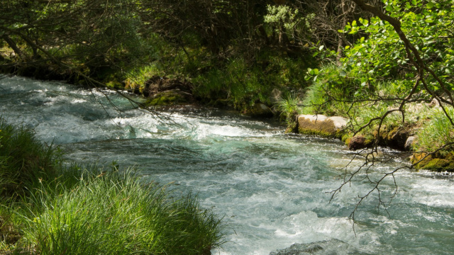 Lousios River