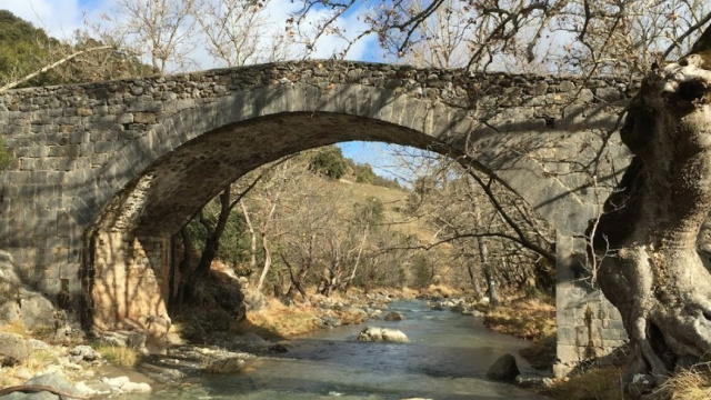 Γέφυρα της Κερνίτσας