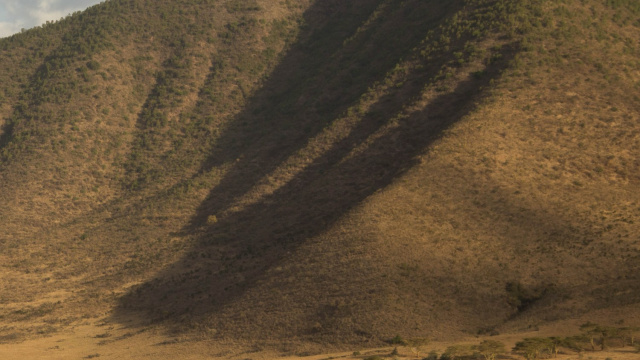 Ngorongoro