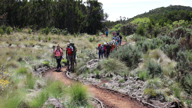 Machame Camp